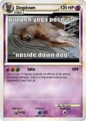 Dogdown