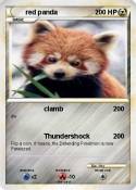 red panda