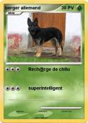 berger allemand