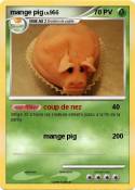 mange pig