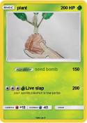 plant