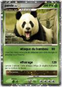 panda