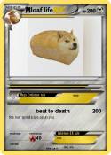 loaf life