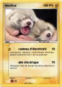 electhor