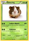 Guinea Pig