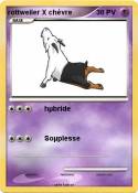 rottweiler X