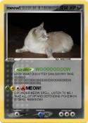 meow!!!!!!!!!!!