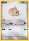 Bunny