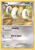 Sheep