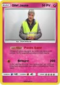 Gilet Jaune