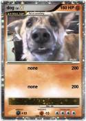 dog