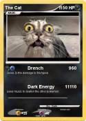 The Cat 1