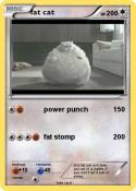 fat cat