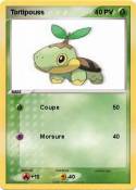 Tortipouss