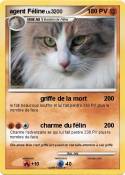 agent Féline
