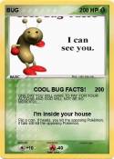 BUG