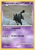 loup-am'staffie