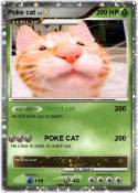 Poke cat