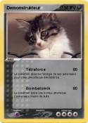 Demonstrukteur