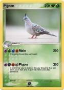 Pigeon
