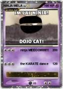 NINJA MELA