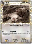 chat