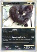Chat du Diable