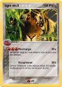 tigre niv.X