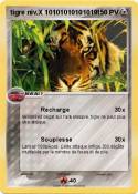 tigre niv.X 101