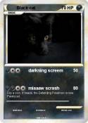 Black cat