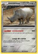 rinocerosse