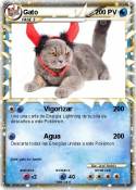 Gato