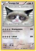 Grumpy Cat