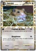 Hamster