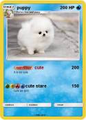 puppy
