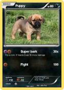 Puppy