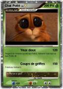 Chat Potté