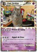 Chat Chrétien