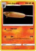 corn dog dog