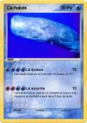 Cachalote