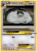 THICC CAT
