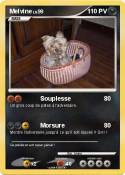 Melvine