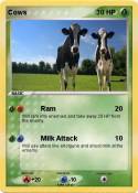 Cows