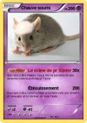 Chauve souris