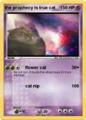 the prophecy