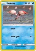 flamingo