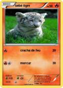 bébé tigre