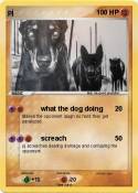 pj