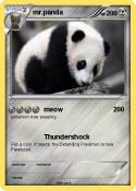 mr.panda