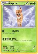 Angle cat